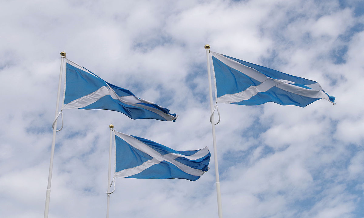 Mapping the Referendum